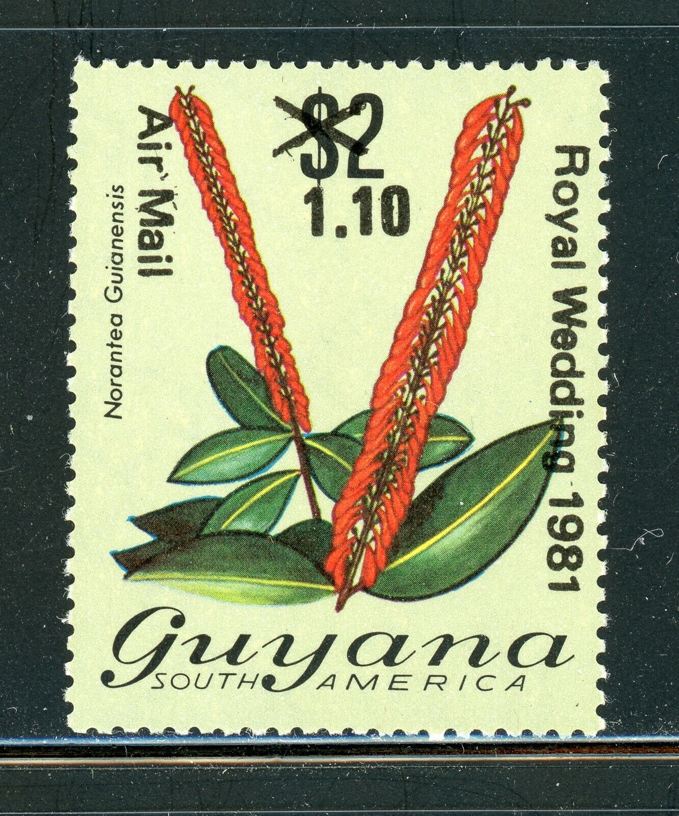 Guyana Mnh Flowers Flora: Scott #333 $1.10/$2 Royal Wedding Cv$3+